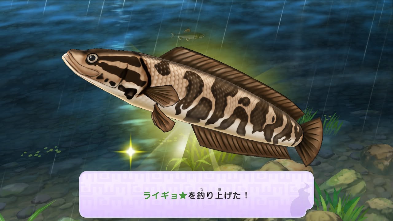 妖怪ウォッチ1 初代 ライギョ レア